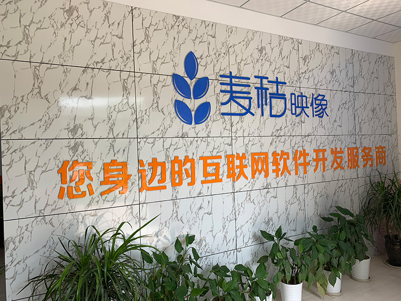 ��������ӳ��W�j��˾